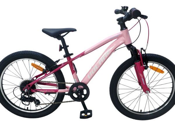 Volare Boost Kinderfiets - 24 inch - 21 Speed - Roze