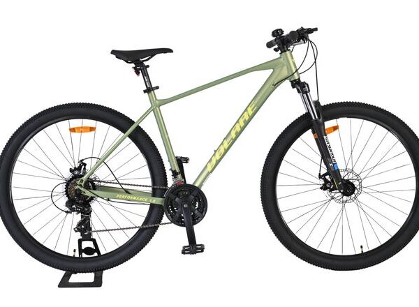 Volare X-Trail MTB – Jongens – 29 inch – L - Groen – 21 speed